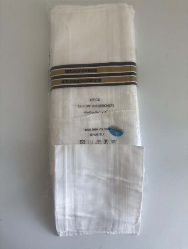 Handkerchief Pack of 10