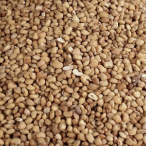 Oloyin Sweet Beans| Ewa oloyin | 1kg