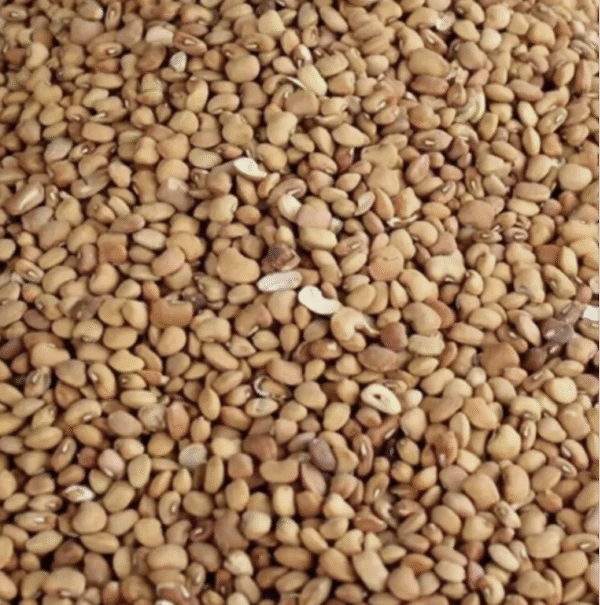 Oloyin Sweet Beans| Ewa oloyin | 1kg