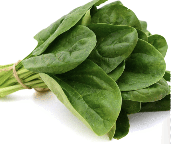 Fresh Spinach
