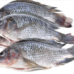 Frozen Tilapia Fish 300-500  2.5kg