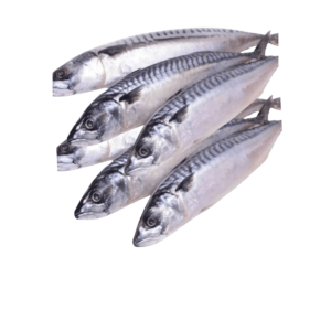Frozen Mackerel Fish | 2kg