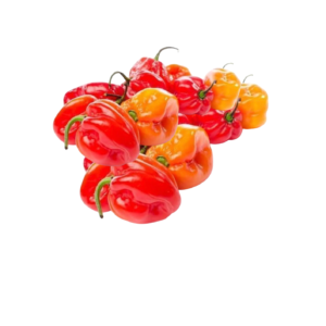 Fresh Scotch Bonnet Ata Rodo | 80g