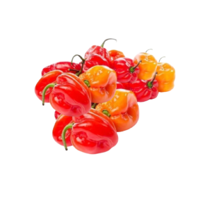 Fresh Scotch Bonnet Ata Rodo (Big Pack) | 300g