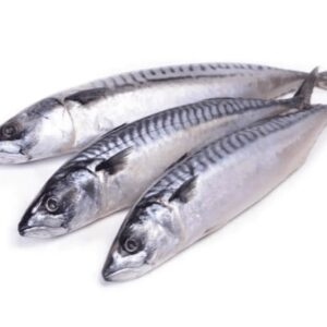 Frozen Mackerel Fish | 1kg