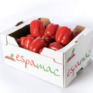 Red Bell Pepper Box | 4kg